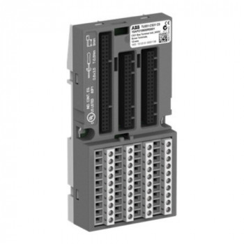 ABB 1SAP210600R0001  - изображение 1