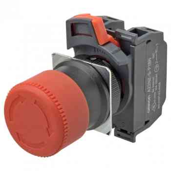 Omron A22NE-S-P002-N 
