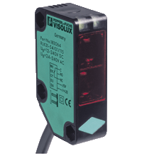 Pepperl Fuchs RLK31-54/25/31/115SET2  - изображение 1