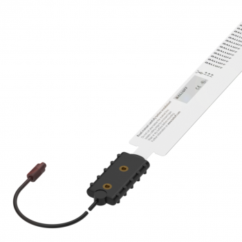 Balluff BCWF03EA85-XXSFNC-EP00,3-GZ01  - изображение 1